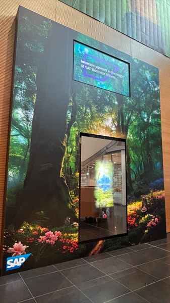 sapMirror